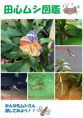 虫図鑑　名前入り